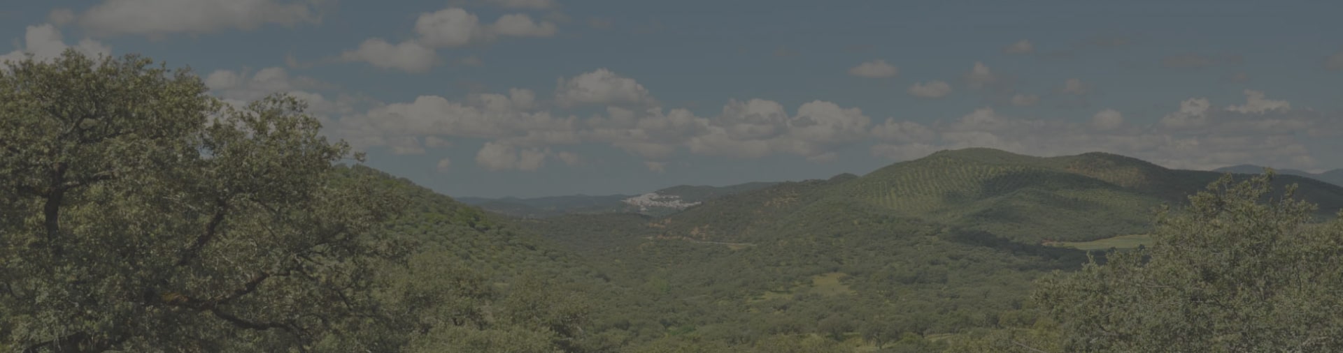 fuente-heridos-sierra-LIEVA-min